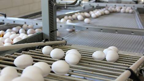 Eierprijzen richting nieuw record vanwege vogelgriepuitbraken bij stijgende vraag