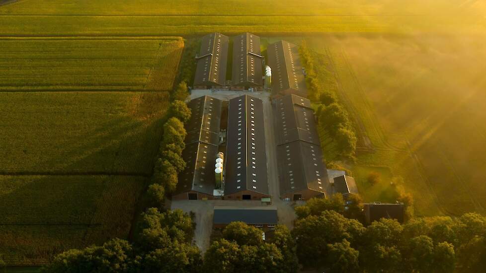 ForFarmers Reudink › Pluimveebedrijf De Haas breidt uit met vleespluimveetak