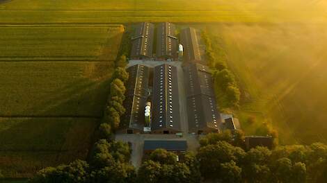 Pluimveebedrijf De Haas breidt uit met vleespluimveetak