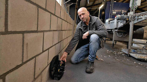 'Muis kan Salmonella overdragen'