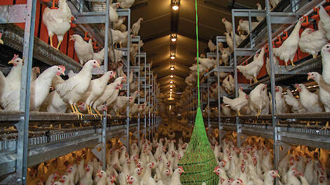 'Huidig rendement niet nieuwe normaal; houd ruime buffer'