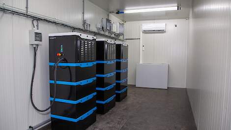 'Investeren in accu-opslag rendeert vaak niet'