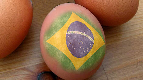 Brazilië mag naast pluimveevlees nu ook eieren naar Europa exporteren