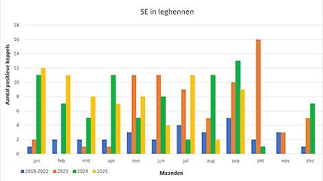 ‘Voorkomen is cruciaal: salmonella zet imago van het ei onder druk’