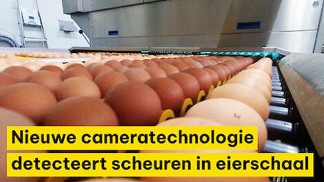 Nieuwe cameratechnologie detecteert haarscheuren in eierschaal met AI bij Duitse pakstation Amshoff