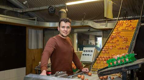 'We overwegen de overstap naar witte hennen'