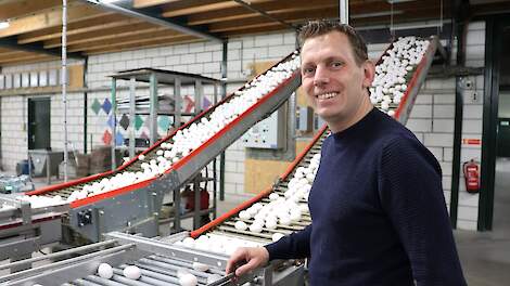 Van eiersorteerder naar procesoperator