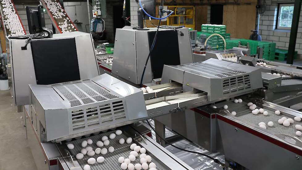 Elk ei gaat langs de Meggsius Select. Op basis van ingestelde criteria worden afwijkende eieren automatisch uitgesorteerd.