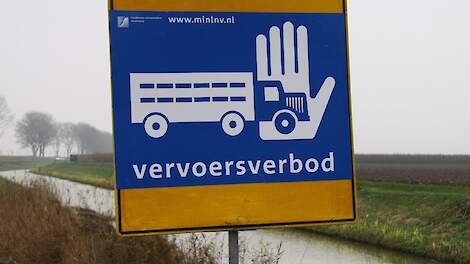 Vogelgriep op eendenbedrijf in Zeewolde