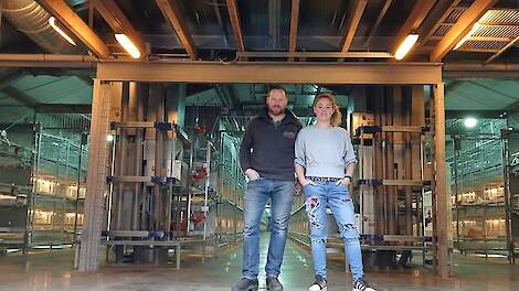 Fotoserie: Zelf ontwikkeld koelsysteem in gerenoveerde opfokstal