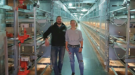 'Eerste dagen temperaturen we kuikens zowat elk uur'