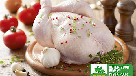 In 2026 naar ECC-vleeskuikens? Onrealistisch