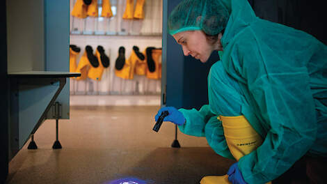 ‘Zet alle zeilen bij om vogelgriep te voorkomen’