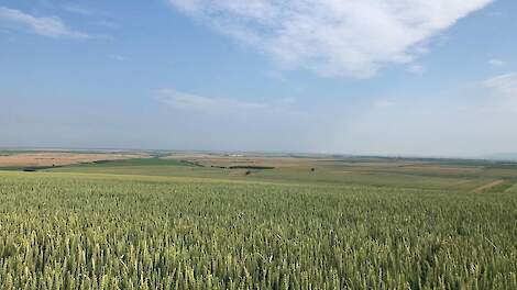 Roemenië biedt veel potentie en een vriendelijke investeringsklimaat