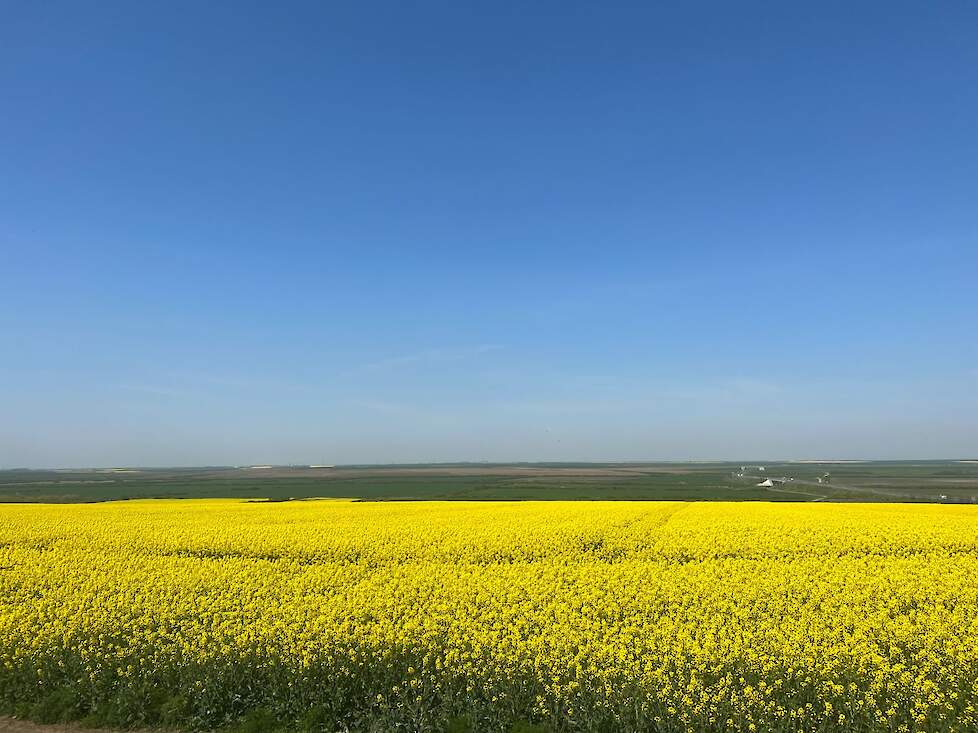 Roemeni&euml; biedt veel potentie en een vriendelijke investeringsklimaat
