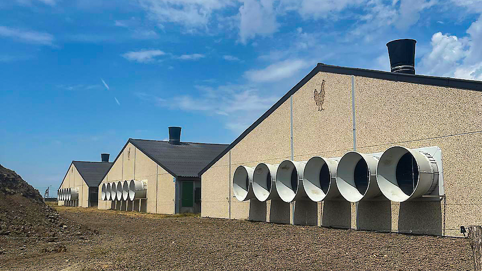 De wandventilatoren zuigen frisse lucht door de stallen.