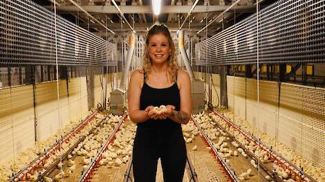 April: 25.000 opfokplaatsen inleveren, eierimport uit Oekraïne vervijfvoudigd, dwangsom pluimveetransportbedrijf