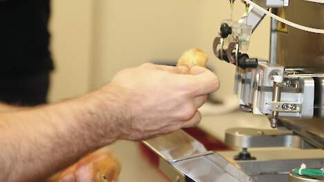 Vogelgriepvaccinatie op zijn vroegst in 2030 mogelijk