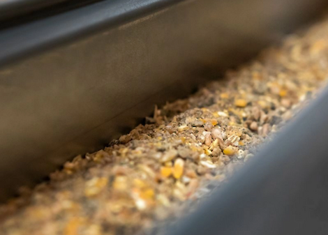 Een optimale mix van grote en kleine delen in het legpluimveevoer zorgt voor een goede darmwerking en opname van voedingsstoffen.