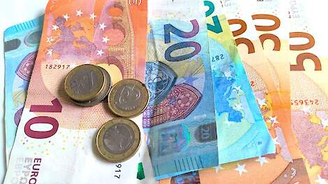 Stelling: 2026 wordt een financieel goed jaar voor pluimveehouders