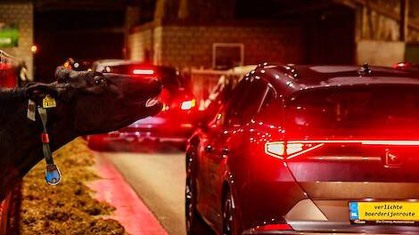 Fotoserie: 'Allemaal blije gezichten, bij burgers en boeren'