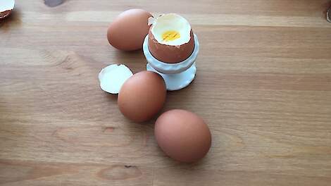 USDA: eierconsumptie neemt met rasse schreden toe