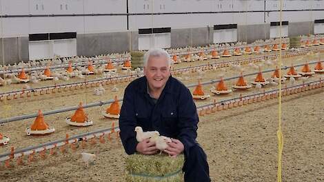 Vleeskuikenhouder Van de Pas: 'Vogelgriep hangt als zwaard van Damocles boven pluimveebedrijven'