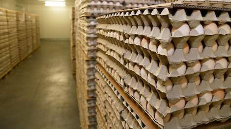 'Vogelgriepsituatie bepalend voor broedeimarkt komende tijd'