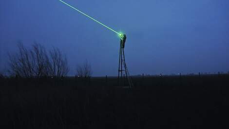 'Houd watervogels op afstand om vogelgriepinsleep te voorkomen'
