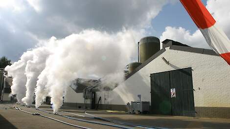 Onzorgvuldige ruiming vermoedelijke oorzaak vogelgriepgolf in Vlaanderen
