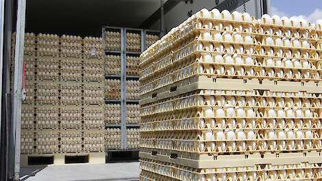 CBS: Totale export landbouwgoederen stijgt, eieren plust 17 procent