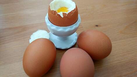 Amerikaanse voedingsrichtlijnen benadrukken belangrijke rol eieren en gevogelte