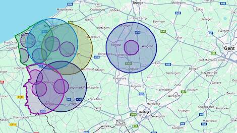 Nieuwe vogelgriepuitbraak in Vlaamse regio Veurne-Alveringem
