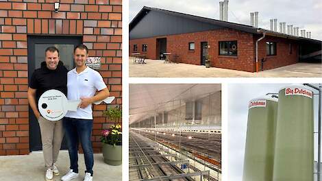 Nieuwe leghennenstal ingewijd in Ringe, Duitsland