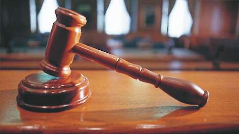 Boete pluimveehouder voor vervoeren kuikens in te volle lades terecht