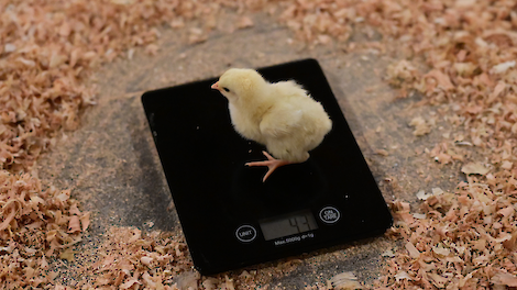 Maak van je opstart een TOPstart