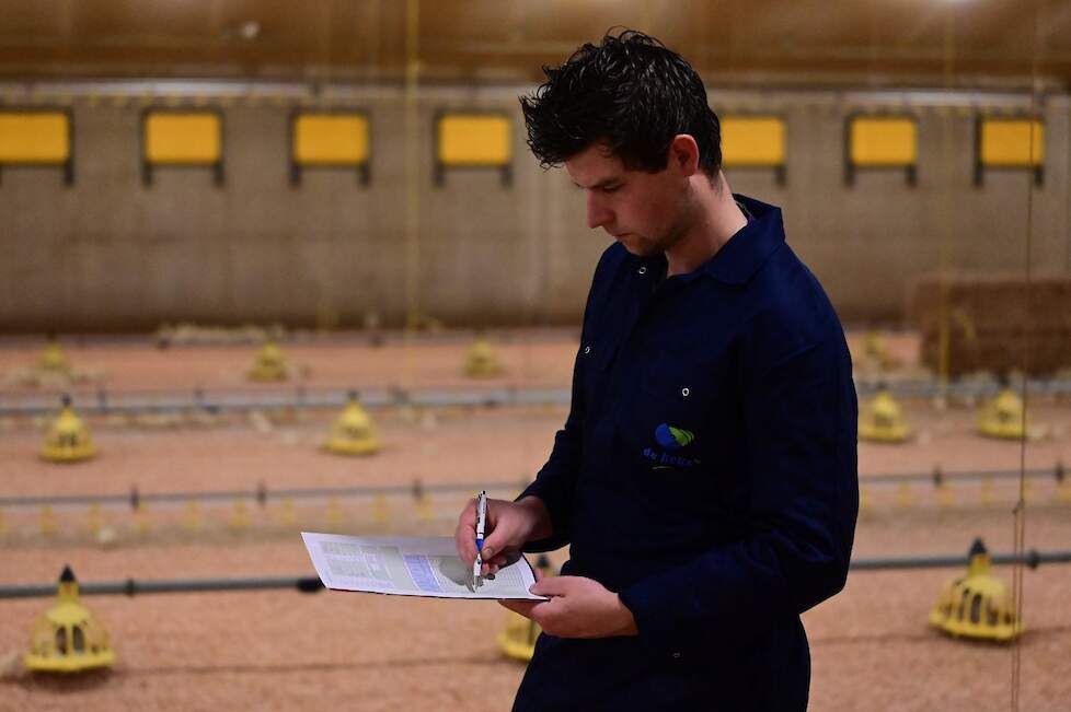 Klimaat- en vleeskuikenspecialist Rens van Berkel voert een Kuikencheck uit. Met deze check krijg je snel inzicht in hoe de eerste dagen verlopen en kun je waar nodig direct bijsturen.
