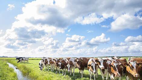 Screening melkveebedrijf brengt nog vijf koeien met antistoffen tegen vogelgriep aan het licht