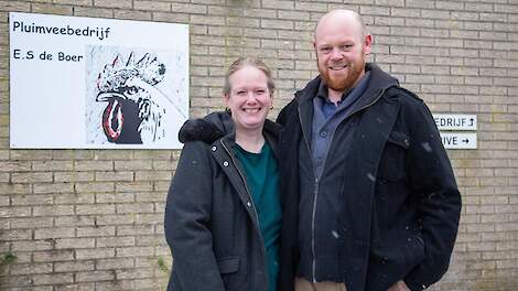Fotoserie: 'Overstap op ster-kuikens uitstekende keuze'