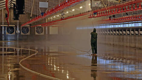Stof belangrijke verspreider Marek