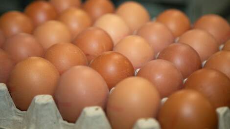 Rechtbank oordeelt dat schadezaak eierkartel kan doorgaan