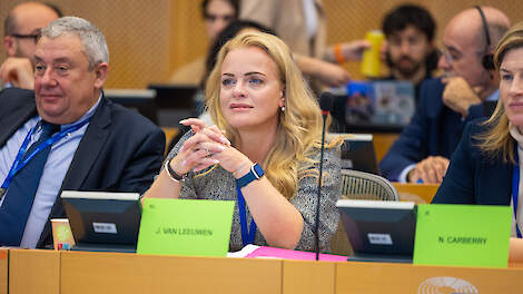 BBB: 'Stop oneerlijke concurrentie van Oekraïense kooi-eieren en bescherm Europese boeren en consumenten'