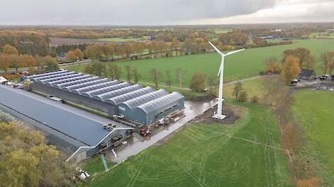 Happy Chicken Farm: 'De kip staat centraal, ook bij groei'