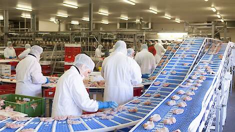 Plukon wil slachterij in Blokker uitbreiden