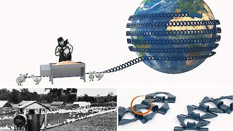 Duurzaam, robuust, onverslaanbaar: de ‘Champion’ van de pluimveestal