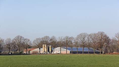 Boerenorganisaties willen met rekenkundige ondergrens van het stikstofslot af