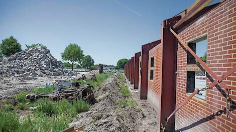 Helft pluimveehouders ziet toch af van deelname aan beëindigingsregeling
