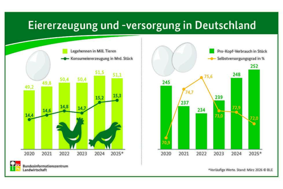 De vraag naar eieren in Duitsland groeit gestaag. Volgens voorlopige cijfers van het Federaal Informatiecentrum voor Landbouw (BZL) bedroeg de consumptie per hoofd van de bevolking in 2025 252 eieren. Het jaar ervoor was dat 248 eieren. Sinds 2022 is de t