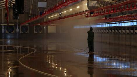 Stelling: Het is goed dat pluimveehouders die zelf hun stal reinigen voortaan verplicht een formulier moeten invullen