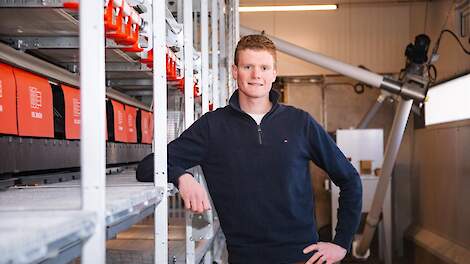 Fotoserie: Nieuwkomer kiest voor freiland vanwege groeiende eiervraag